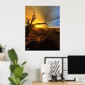 Barren Land Poster (Heimbüro)