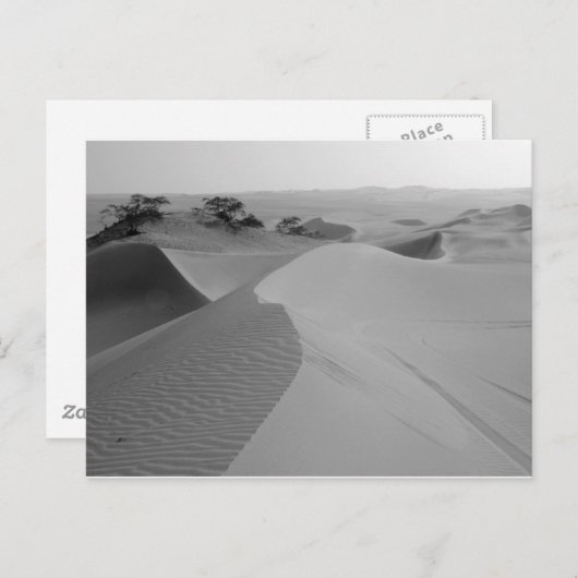 Barren Postkarte (Vorne/Hinten)