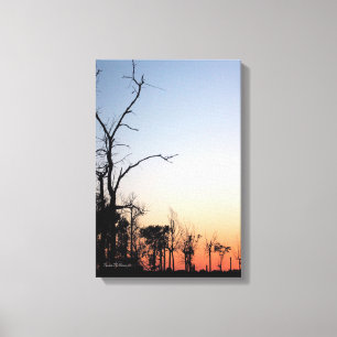 Barren Trees bei Sunset Canvas Print Leinwanddruck