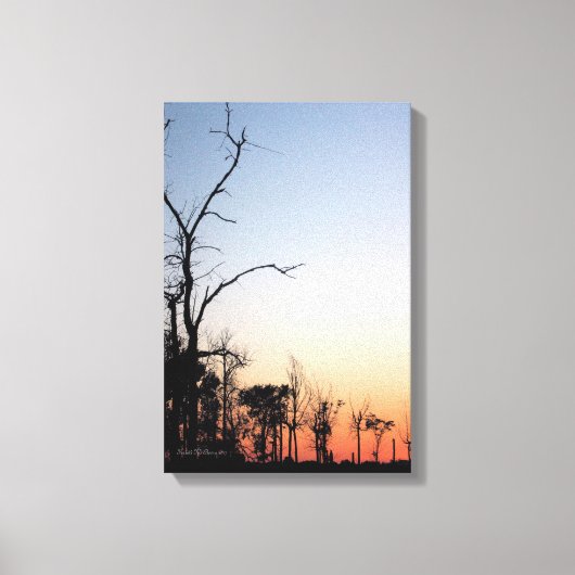 Barren Trees bei Sunset Canvas Print Leinwanddruck (Vorderseite)