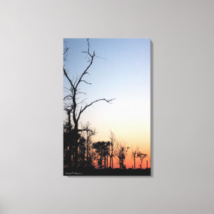 Barren Trees bei Sunset Canvas Print Leinwanddruck