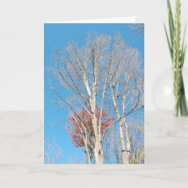 Barren Trees Karte
