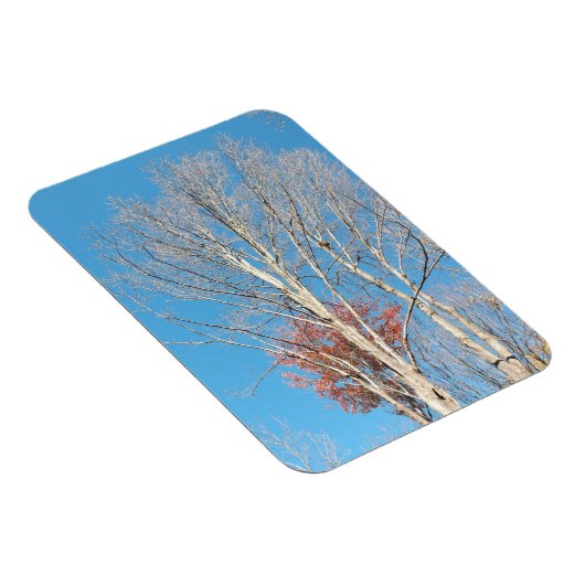 Barren Trees Magnet (Rechte Seite)