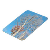 Barren Trees Magnet (Linke Seite)