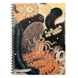 Barrier Reef Anemones Notizblock