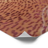 Barrier Reef Dreaming Poster (Ecke)