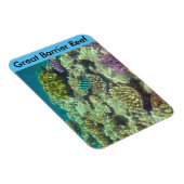 Barrierekoralle Magnet (Rechte Seite)