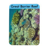 Barrierekoralle Magnet (Vertikal)