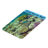 Barrierekoralle Magnet (Linke Seite)