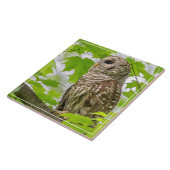 Barriereprofil Fliese (Seite)