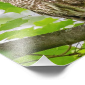 Barriereprofil Fotodruck (Ecke)