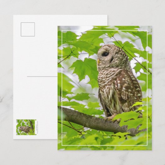 Barriereprofil Postkarte (Vorne/Hinten)