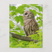 Barriereprofil Postkarte (Vorderseite)