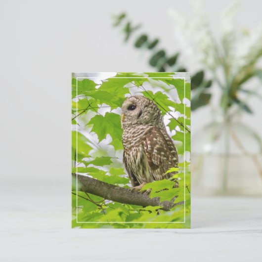 Barriereprofil Postkarte (Stehend Vorderseite)
