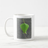 Barringtonia Acutangula Kaffeetasse (Links)