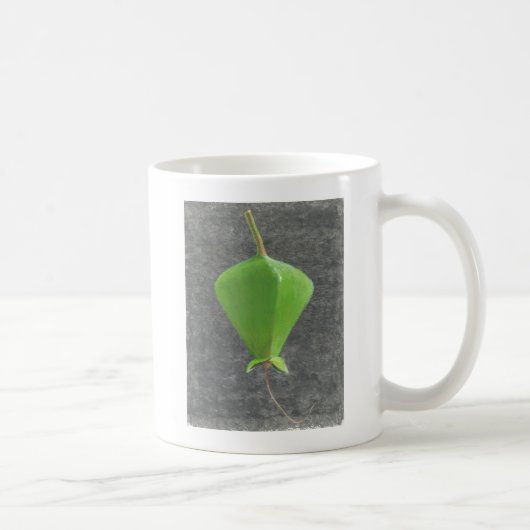 Barringtonia Acutangula Kaffeetasse (Rechts)