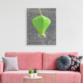 Barringtonia Acutangula Leinwanddruck (Insitu (Wohnzimmer))