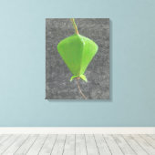 Barringtonia Acutangula Leinwanddruck (Insitu (Holzboden))