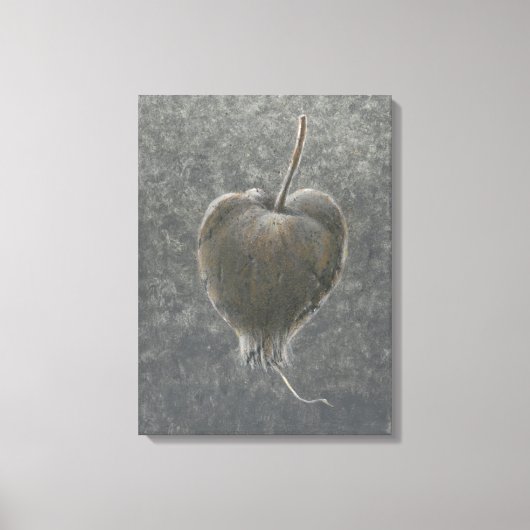 Barringtonie Acutangula 2 Leinwanddruck (Vorderseite)