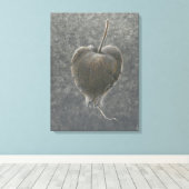 Barringtonie Acutangula 2 Leinwanddruck (Insitu (Holzboden))