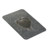 Barringtonie Acutangula 2 Magnet (Rechte Seite)