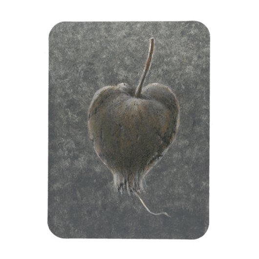 Barringtonie Acutangula 2 Magnet (Vertikal)