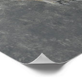 Barringtonie Acutangula 2 Poster (Ecke)