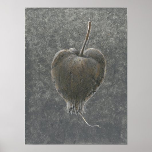 Barringtonie Acutangula 2 Poster (Vorne)