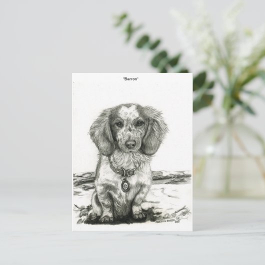 Barron Postkarte (Stehend Vorderseite)