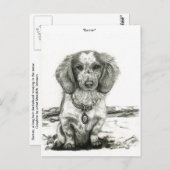 Barron Postkarte (Vorne/Hinten)