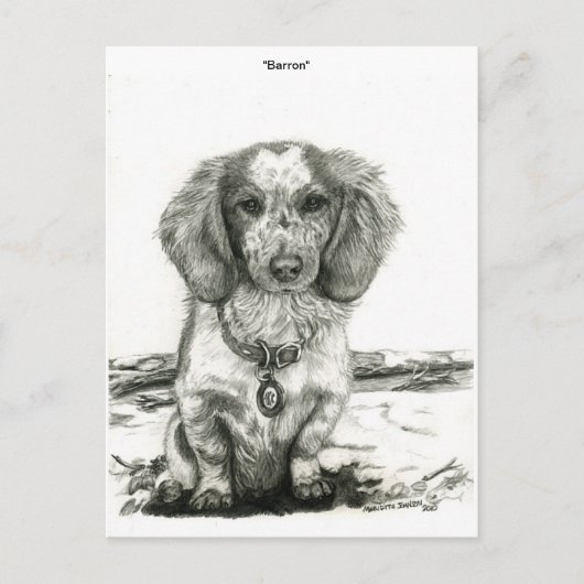 Barron Postkarte (Vorderseite)