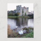 Barrow River Swan, White's Castle Athy Co. Postkarte (Vorderseite)