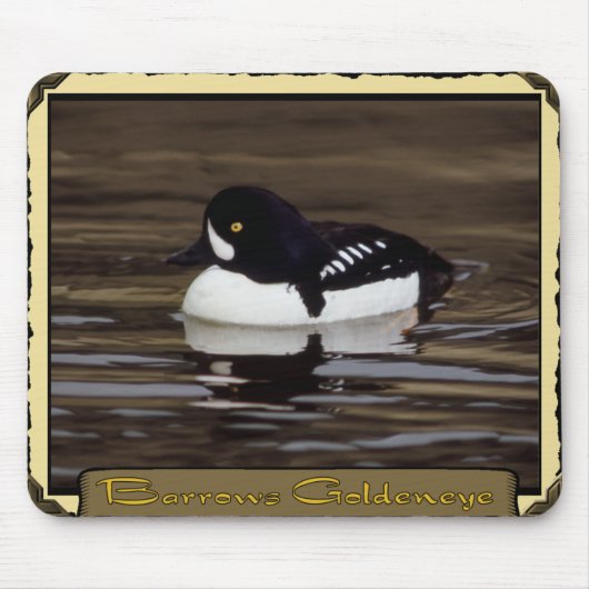 Barrows Goldeneye auf Calm Lake Mousepad (Vorne)