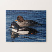 Barrow's Goldeneye Ducks im Stanley Park Seawall Puzzle (Horizontal)