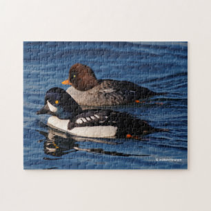 Barrow's Goldeneye Ducks im Stanley Park Seawall Puzzle
