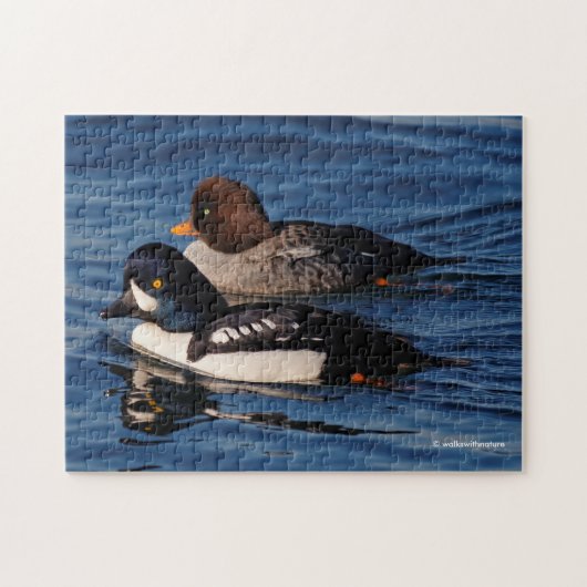 Barrow's Goldeneye Ducks im Stanley Park Seawall Puzzle (Horizontal)