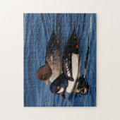 Barrow's Goldeneye Ducks im Stanley Park Seawall Puzzle (Vertikal)
