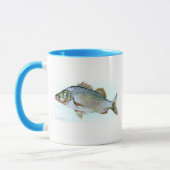 Barsch Tasse (Links)