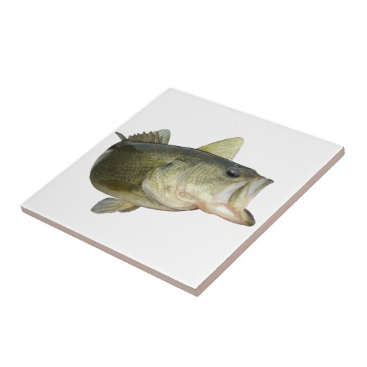 Barschangeln Fliese (Seite)