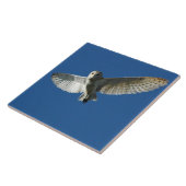 Barschenschüssel im Tagesflug Fliese (Seite)