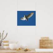 Barschenschüssel im Tagesflug Poster (Küche)