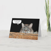 Barschkatze am Geburtstag von Hayloft Karte (Vorderseite)