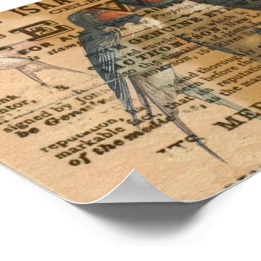 Barschschwein Vintag Poster (Ecke)