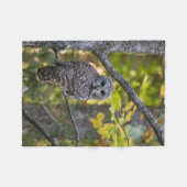 Barschuhu in Herbst | Alger County, MI Fleecedecke (Vorderseite (Horizontal))