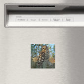 Barschuhu in Spanischem Moos ruhend Magnet (In Situ (Geschirrspüler))