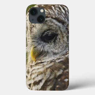 Barschuhu, Strix varia, Michigan Case-Mate iPhone Hülle