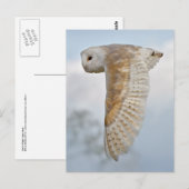 Barschüssel im Flug Postkarte (Vorne/Hinten)
