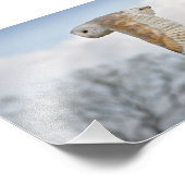 Barschüssel in Flight Print Fotodruck (Ecke)