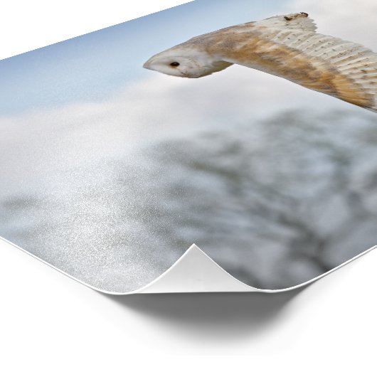 Barschüssel in Flight Print Fotodruck (Ecke)