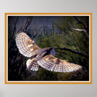 Barschüssel in Mittelflug Poster
